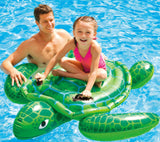 Summer Giant Swan Dolphin