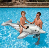 Summer Giant Swan Dolphin
