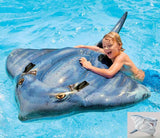 Summer Giant Swan Dolphin