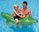 Summer Giant Swan Dolphin