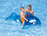 Summer Giant Swan Dolphin
