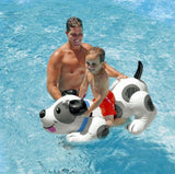 Summer Giant Swan Dolphin