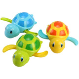 Animal Tortoise